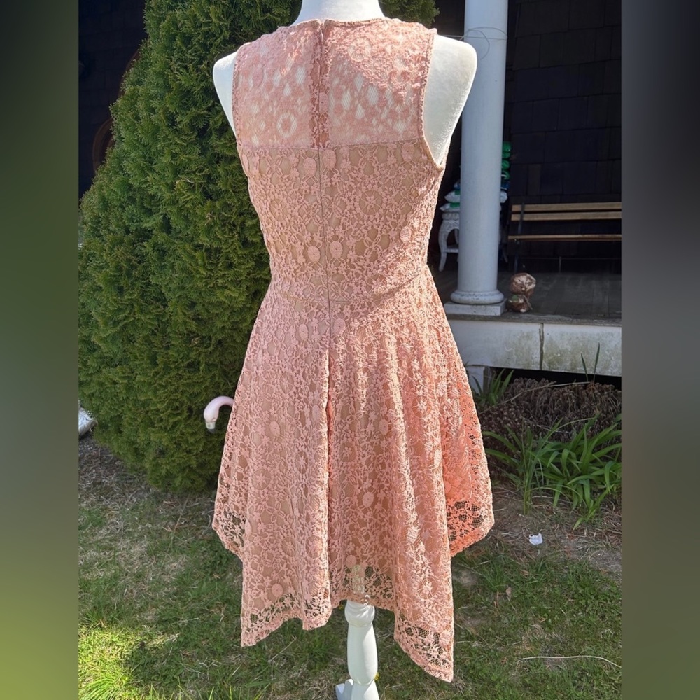 Blush Pink Lace Dress - Picture 3 of 6